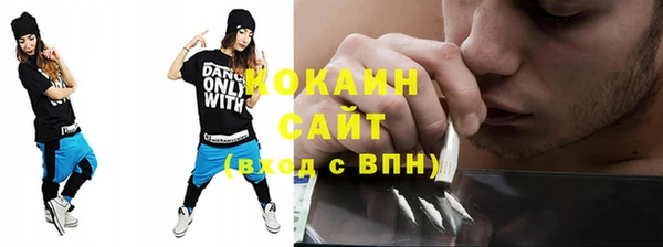 крисы Абаза