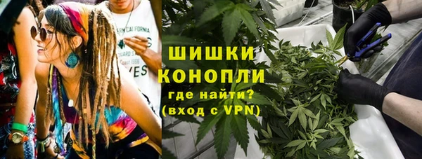 крисы Абаза