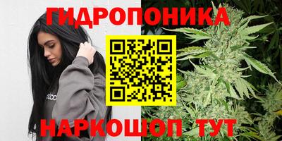 не бодяженный Кингисепп