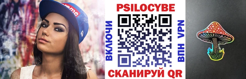 omg как зайти  Красный Сулин  Галлюциногенные грибы Cubensis 