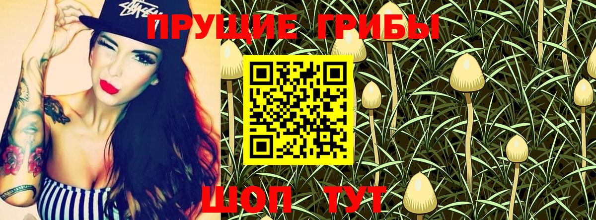 Красный Сулин  Галлюциногенные грибы GOLDEN TEACHER  как найти   Галлюциногенные грибы Psilocybe  Вход с VPN 
